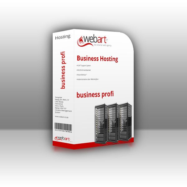 günstiges Webhosting - business profi