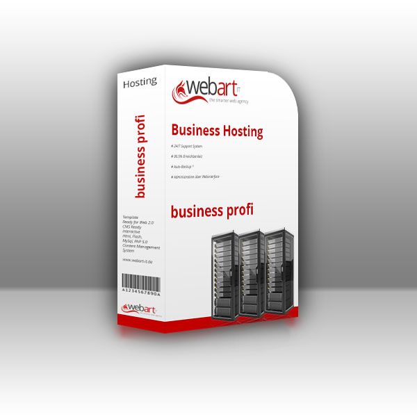 professionelles Hosting - business profi